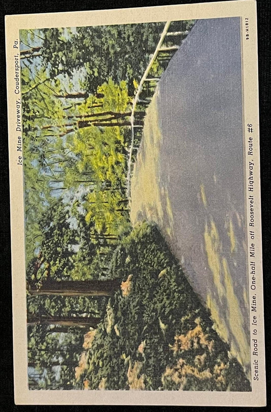 Ice Mine Driveway, Coudersport, Pennsylvania - 1930s/40s Linen Postcard