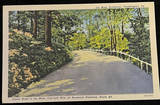 Ice Mine Driveway, Coudersport, Pennsylvania - 1930s/40s Linen Postcard