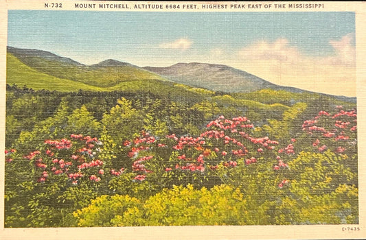 Mount Mitchell, Altitude 6684 Feet, Highest Peak East of the Mississippi - Linen Postcard