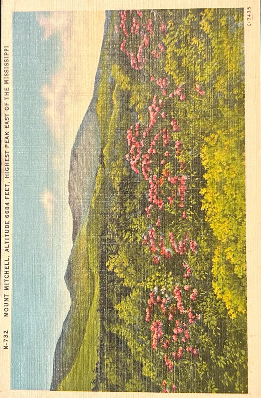 Mount Mitchell, Altitude 6684 Feet, Highest Peak East of the Mississippi - Linen Postcard