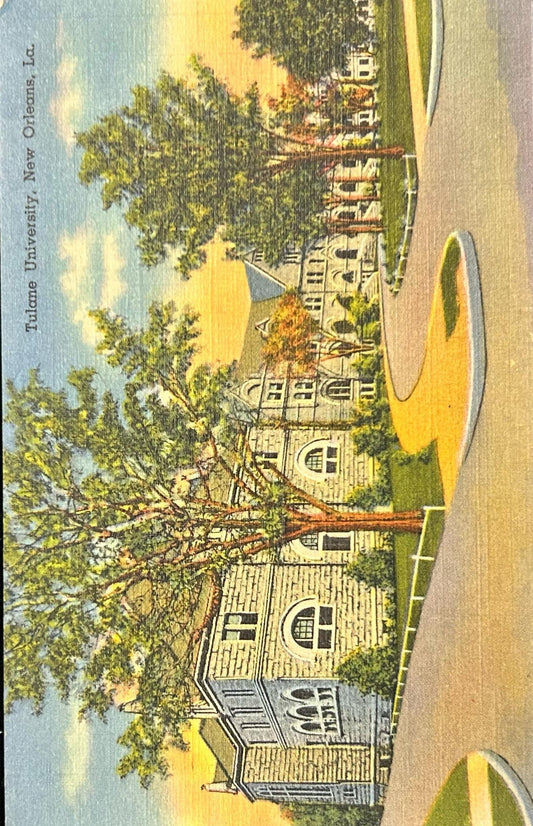 Tulane University, New Orleans, Louisiana - Vintage Postcard