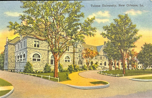 Tulane University, New Orleans, Louisiana - Vintage Postcard
