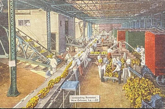 Unloading Bananas - New Orleans, Louisiana - 1940s Linen Postcard