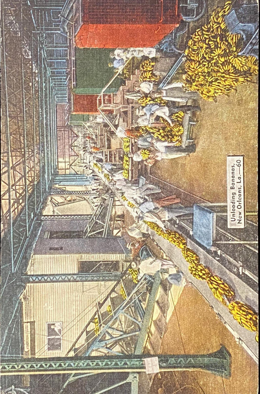 Unloading Bananas - New Orleans, Louisiana - 1940s Linen Postcard