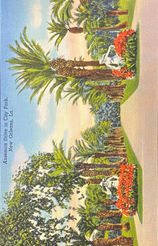 Anseman Drive - City Park - New Orleans, Louisiana - 1939 Linen Postcard