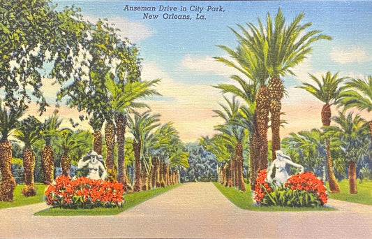 Anseman Drive - City Park - New Orleans, Louisiana - 1939 Linen Postcard