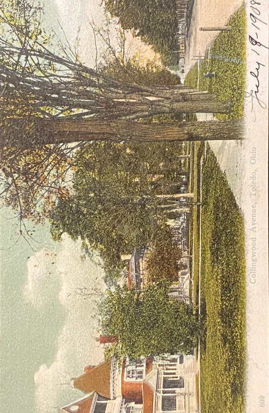 Collingwood Avenue - Toledo, Ohio - 1908 Postcard