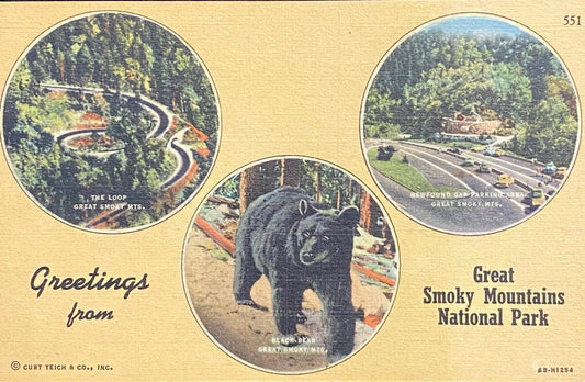 Greetings from Great Smoky Mountains National Park - Tennessee - 1946 Linen Postcard