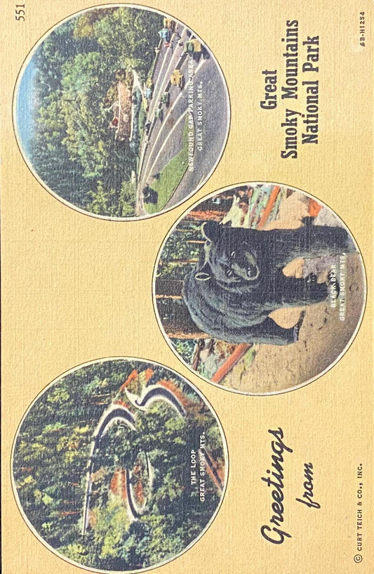 Greetings from Great Smoky Mountains National Park - Tennessee - 1946 Linen Postcard