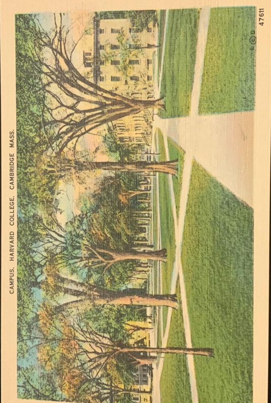 Campus - Harvard College - Cambridge, Massachusetts - 1940s Linen Postcard