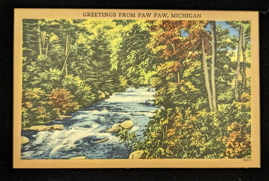 Greetings from Paw Paw, Michigan - 1940s Linen Postcard
