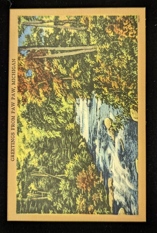 Greetings from Paw Paw, Michigan - 1940s Linen Postcard