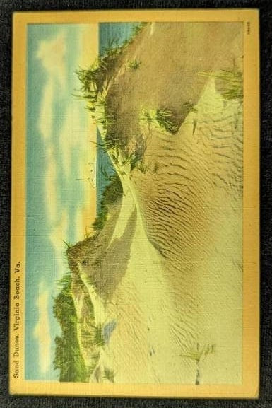 Sand Dunes - Virginia Beach, Virginia - 1940s Linen Postcard