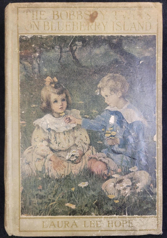 The Bobbsey Twins On Blueberry Island - Book 10  - Laura Lee Hope