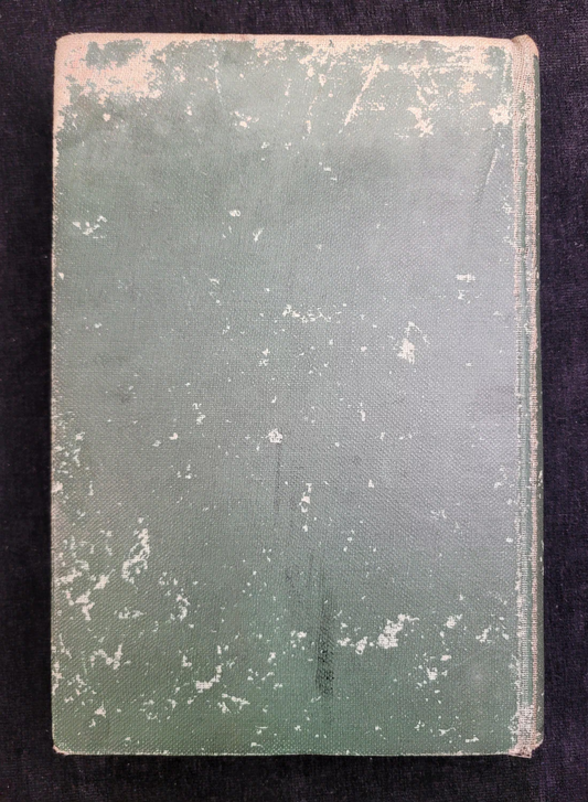 The Bobbsey Twins - Book 1 - Laura Lee Hope