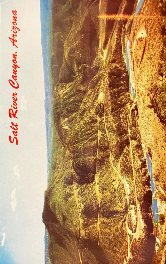 Salt River Canyon, Arizona - Vintage Postcard