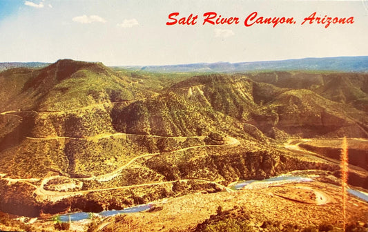 Salt River Canyon, Arizona - Vintage Postcard