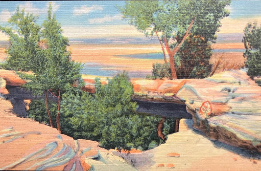 Natural Bridge - Petrified Forest, Arizona - 1940s LInen Postcard