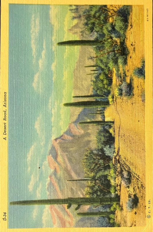 A Desert Road, Arizona - Copyright C. T. Co. - 1940s Linen Postcard