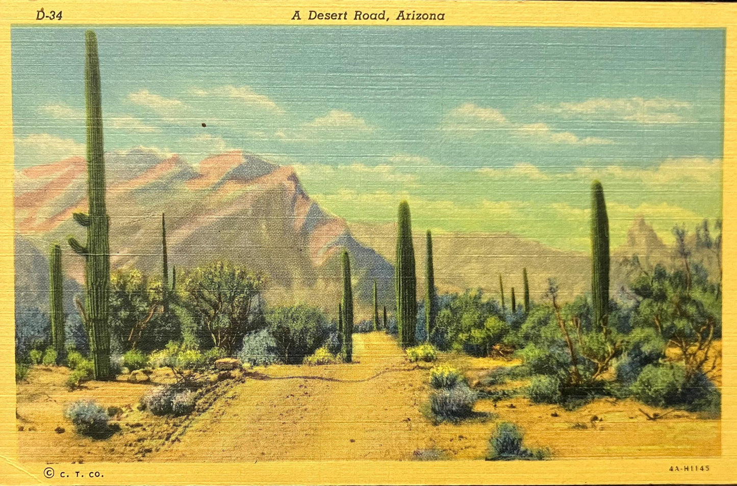 A Desert Road, Arizona - Copyright C. T. Co. - 1940s Linen Postcard