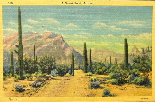A Desert Road, Arizona - Copyright C. T. Co. - 1940s Linen Postcard