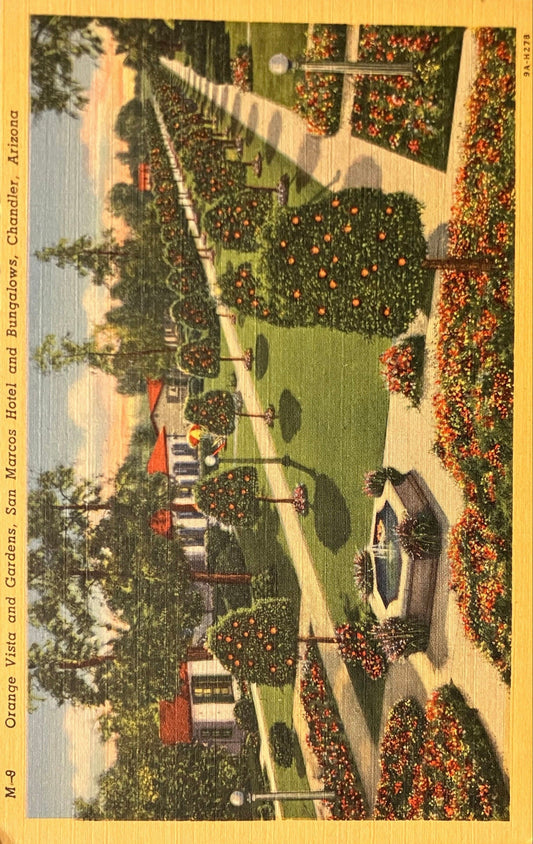 Orange Vista and Gardens - San Marcos Hotel and Bungalows - Chandler, Arizona - 1940s Linen Postcard