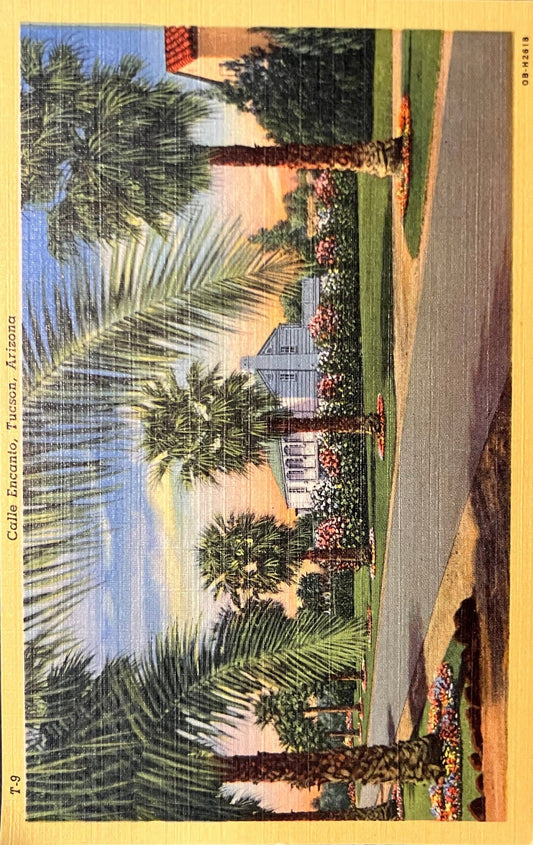 Calle Encanto - Tucson, Arizona - 1940s Linen Postcard