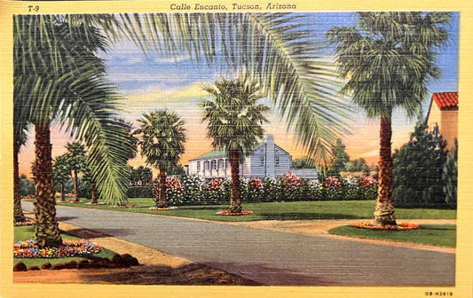 Calle Encanto - Tucson, Arizona - 1940s Linen Postcard