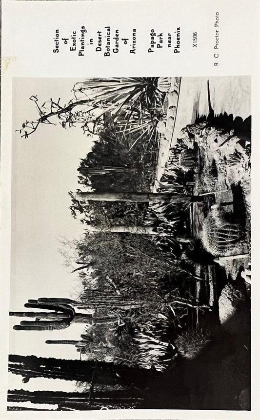 Section of Exotic Plantings  - Desert Botanical Garden of Arizona - Papago Park - Phoenix - R. C. Proctor Photo