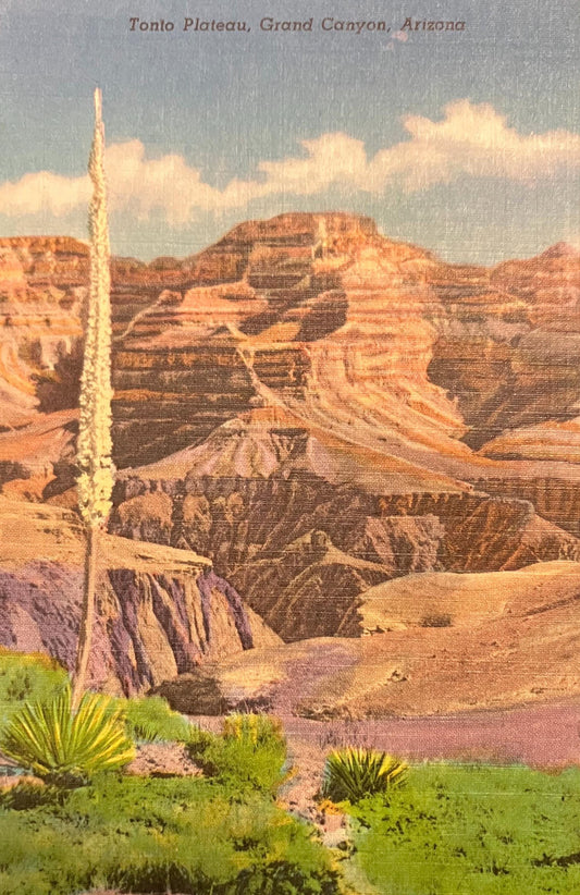 Tonto Plateau - Grand Canyon - Arizona - 1940s Linen Postcard