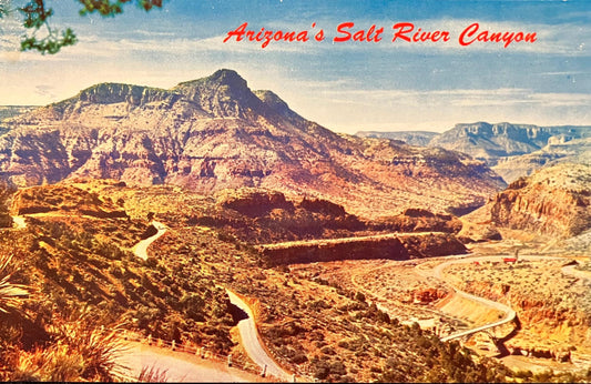 Arizona’s Salt River Canyon - Vintage Postcard
