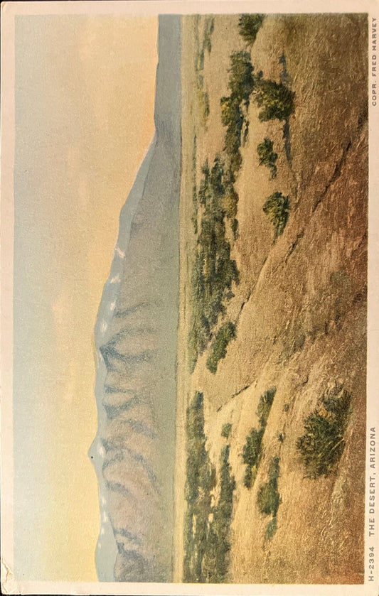 The Desert, Arizona - Vintage Postcard