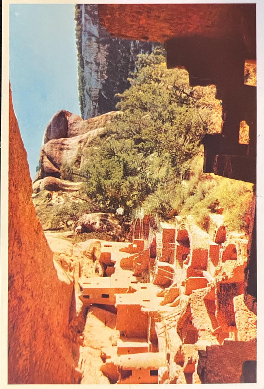 Cliff Palace - Mesa Verde National Park - Photo by Angel F Hall - Vintage Postcard