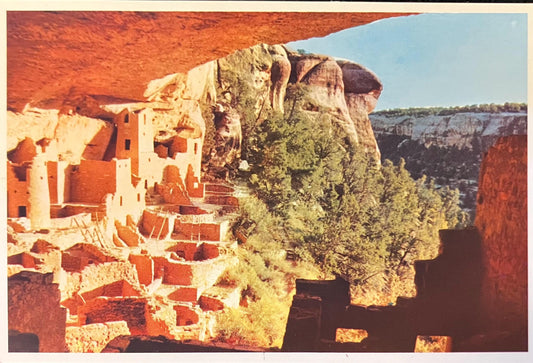 Cliff Palace - Mesa Verde National Park - Photo by Angel F Hall - Vintage Postcard