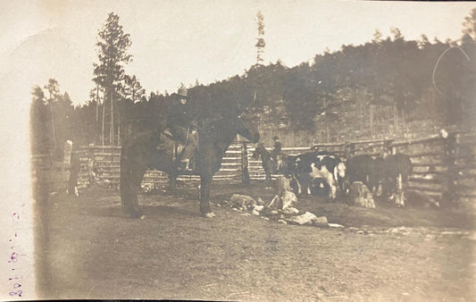 RPPC - Working Cattle with Horses on Ranch - Taken: 1908 - Cowboy Life postcard - Roping and Branding Calves - looks like in the Dakotas