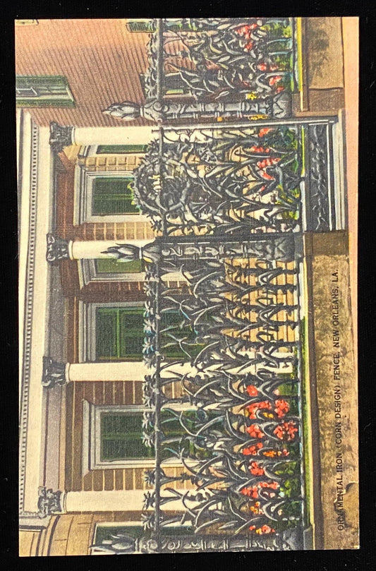 Ornamental Iron (Corn Design) Fence - New Orleans, Louisiana - 1940s Linen Postcard