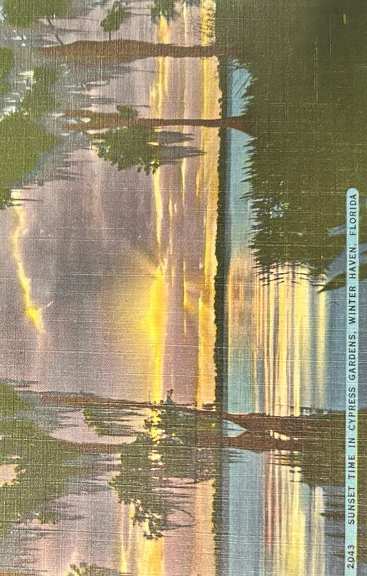 Sunset Time in Cypress Gardens, Winter Haven, Florida - Linen Postcard