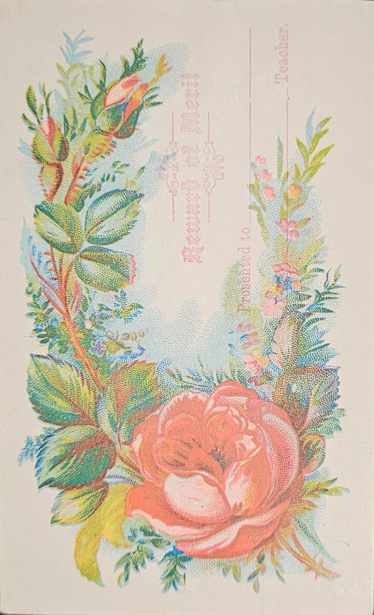School Award Of Merit  - Floral Illustration of Red Roses - Probably High School Award. Blank, not used. From Teacher's Estate
