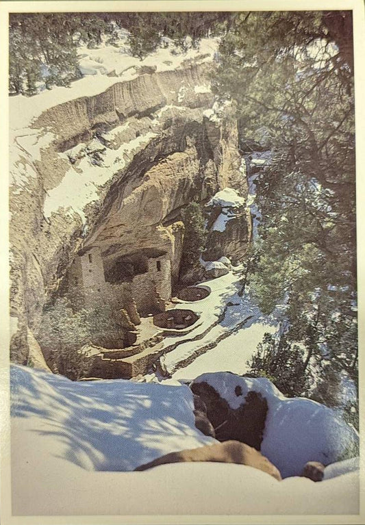 Cliff Palace - Mesa Verde National Park - Colorado Postcard