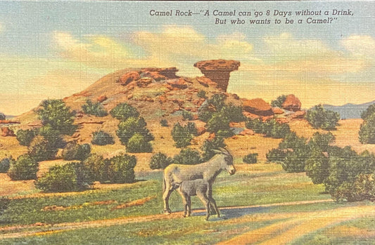 Camel Rock - Santa Fe - Taos Highway, New Mexico - 1942 Linen Postcard