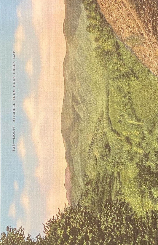 Mount Mitchell - Buck Creek Gap - 1940s Postcard
