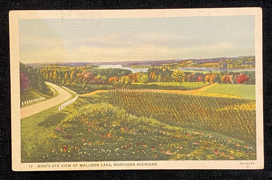 Bird's-Eye View - Walloon Lake - Petosky, Michigan - 1935 Linen Postcard