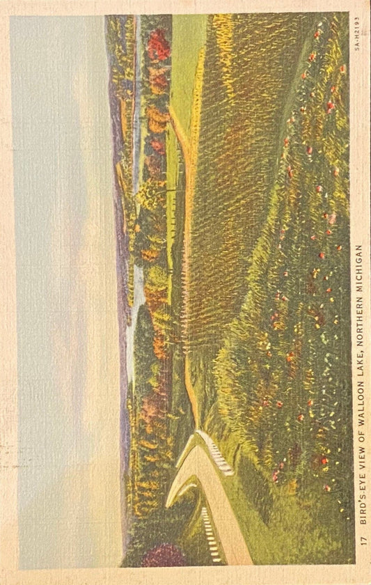 Bird's-Eye View - Walloon Lake - Petosky, Michigan - 1935 Linen Postcard