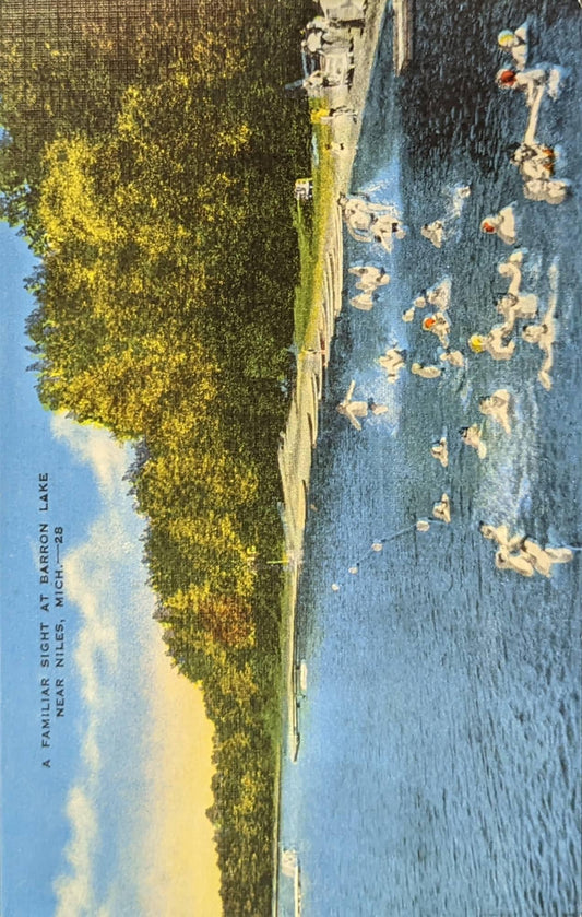 A Familiar Sight - Barron Lake - Niles, Michigan - 1940s Linen Postcard