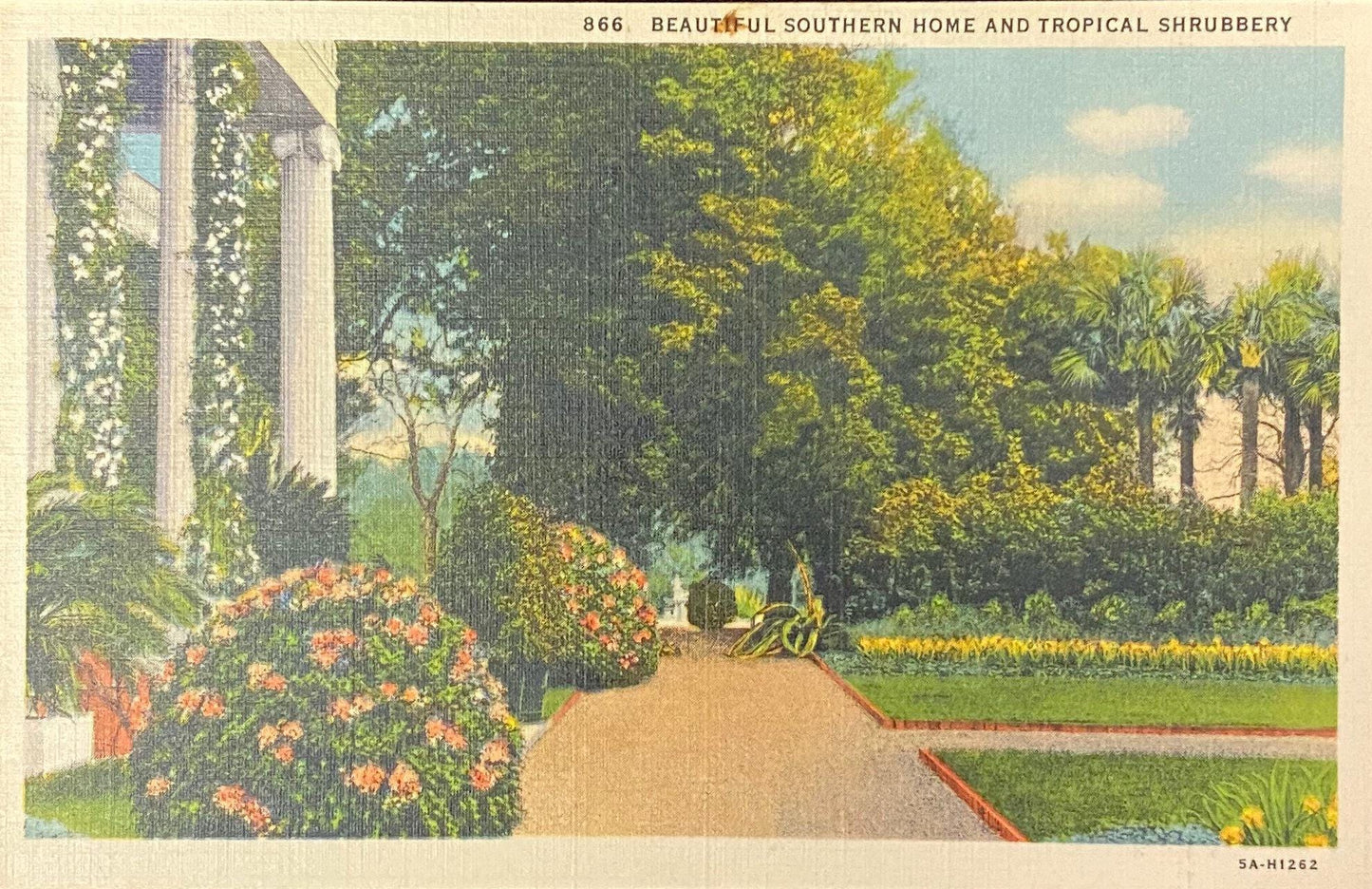Beautiful Southern Home - Tropical Shrubbery in North Carolina - 1935 Linen Postcard