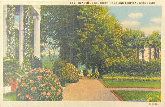 Beautiful Southern Home - Tropical Shrubbery in North Carolina - 1935 Linen Postcard