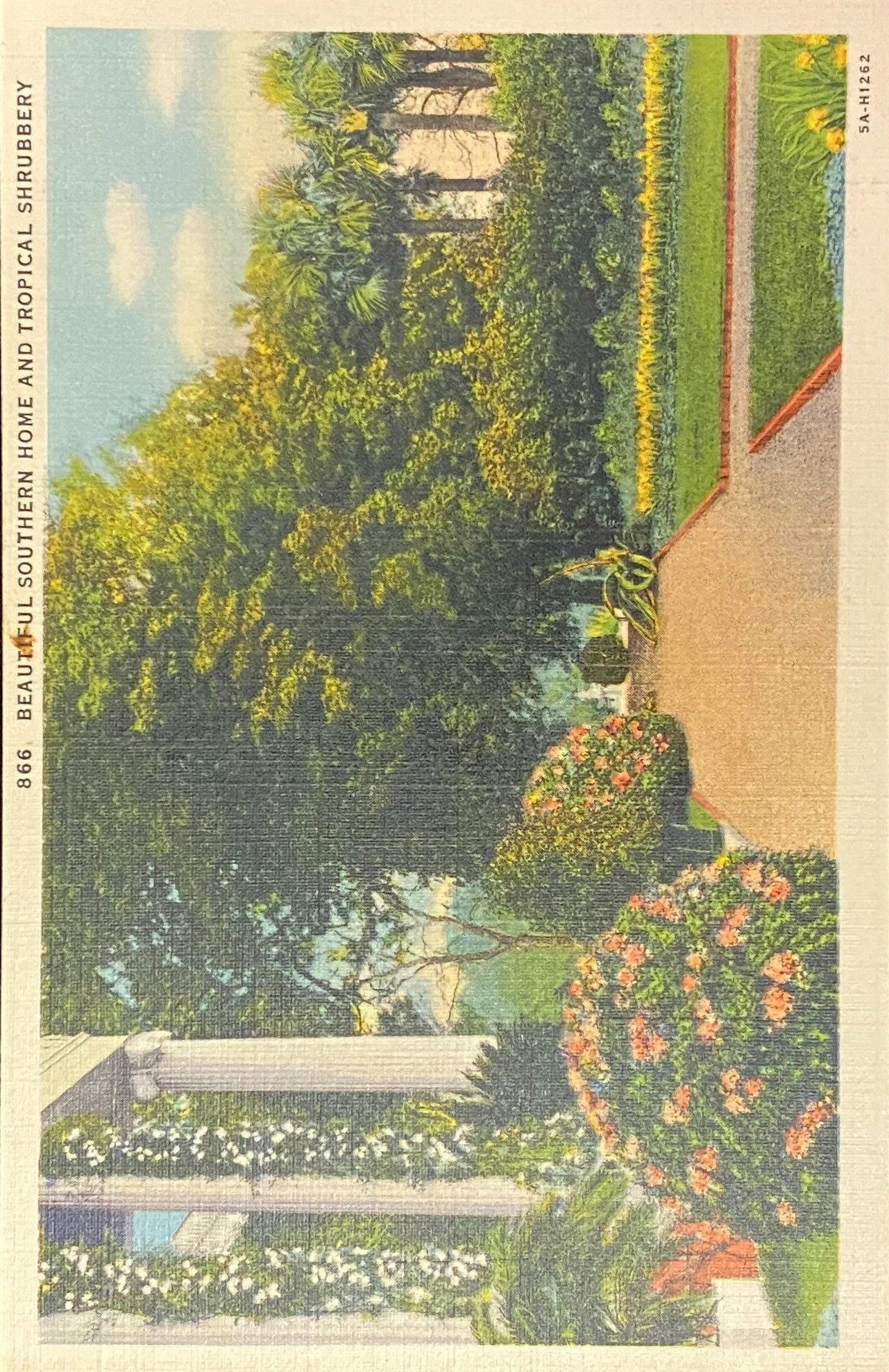Beautiful Southern Home - Tropical Shrubbery in North Carolina - 1935 Linen Postcard