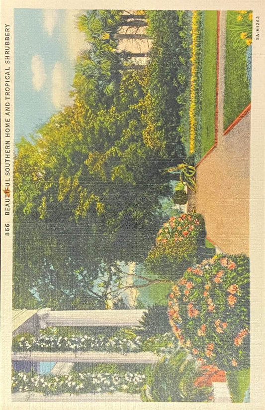 Beautiful Southern Home - Tropical Shrubbery in North Carolina - 1935 Linen Postcard