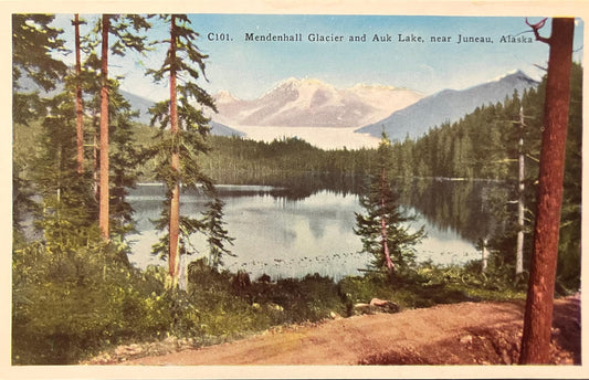 Mendenhall Glacier - Auk Lake - Juneau, Alaska - Vintage Postcard