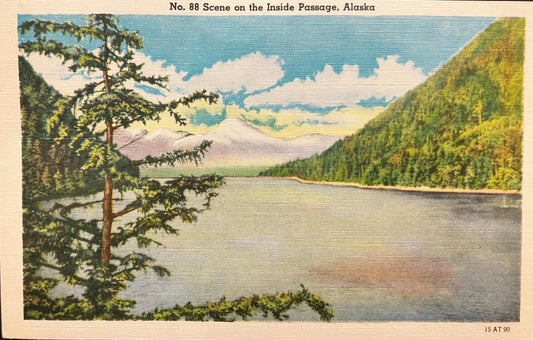 Scene on the Inside Passage - Alaska - 1940s Linen Postcard